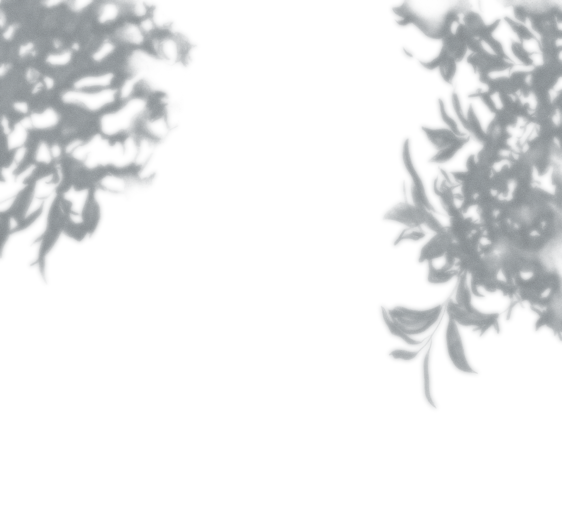 Illustration background